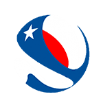 Copa Chile