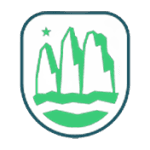 Copa de la Liga 